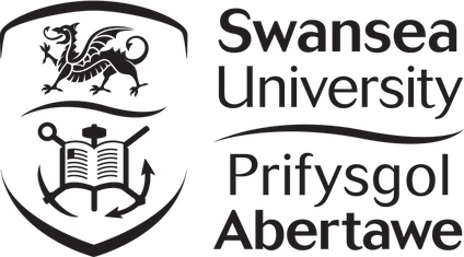 ‌The College, Swansea University (International College Wales Swansea) | United Kingdom