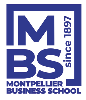 Msc in Business Excellence | Master's degree | Business | On Campus | 18 months | Montpellier Business School | France